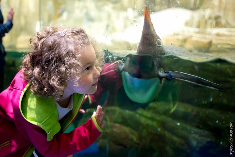 Mission Canada // Part. 19  Biodome à Montreal