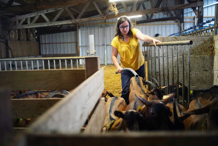 Le Finistère Sud en camping car (29)