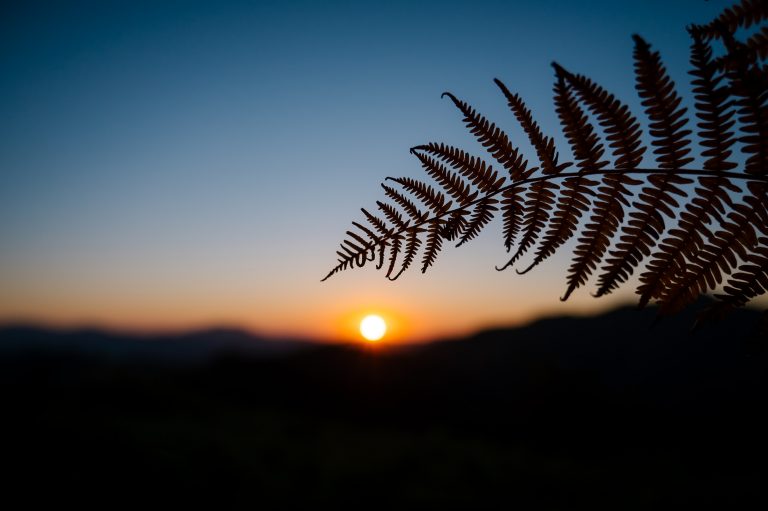 Le Col de Lizarrieta en van (64)