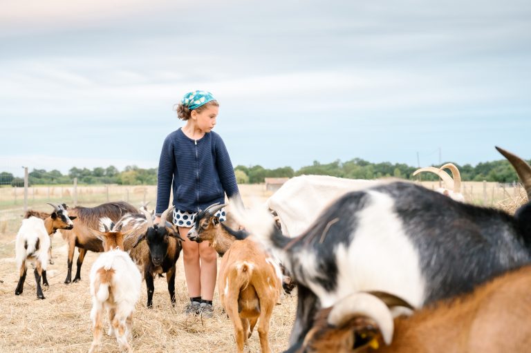 Les rencontres de la Haute-Garonne (31)