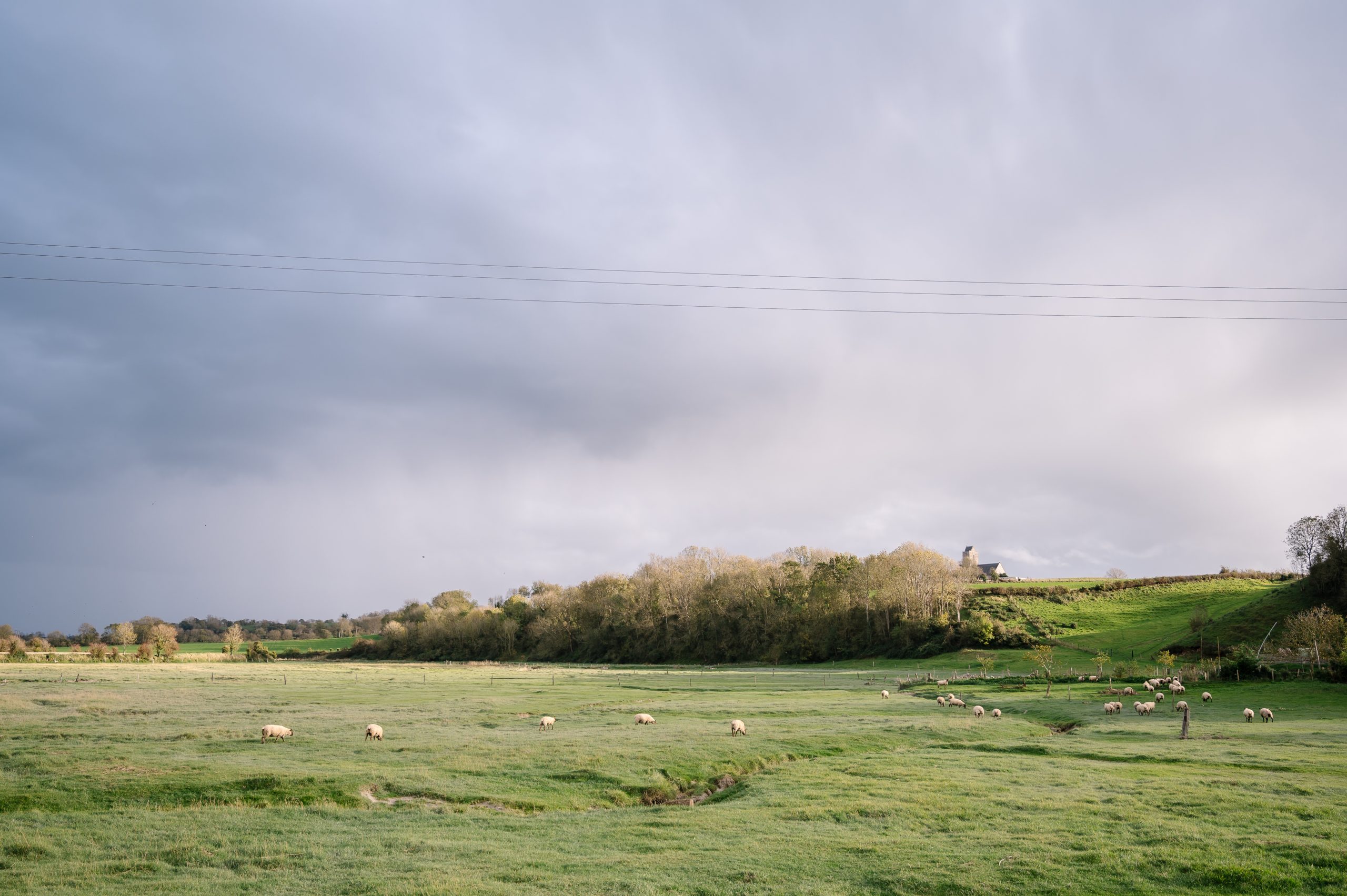 Un petit tour dans La Manche (50)