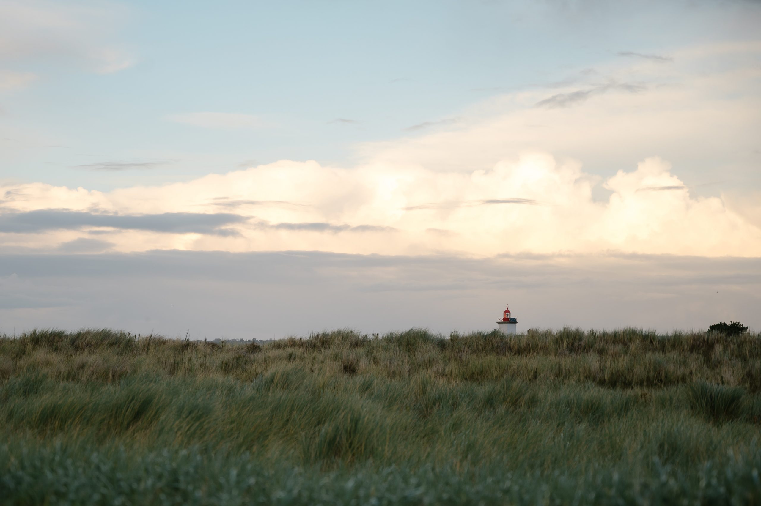 Un petit tour dans La Manche (50)